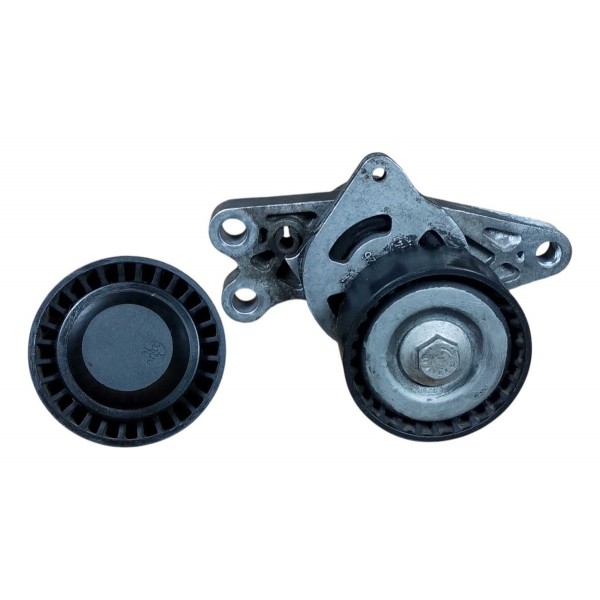 Tensor Polia Correia Alternador Poly V Peugeot 206 1.4 2005
