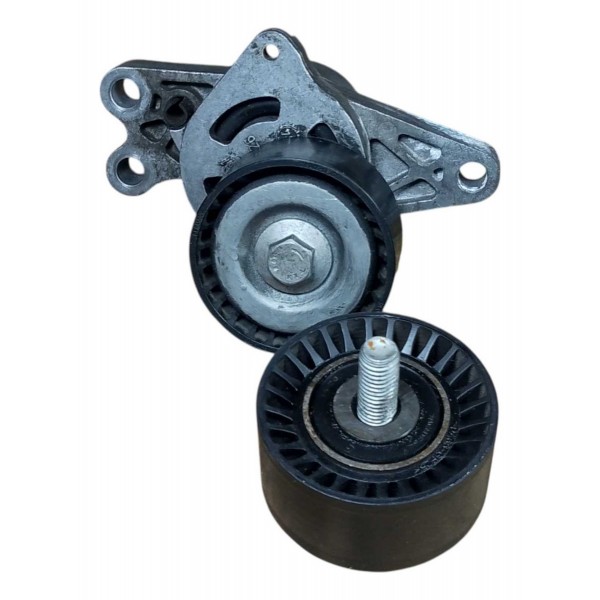 Tensor Polia Correia Alternador Poly V Peugeot 206 1.4 2005