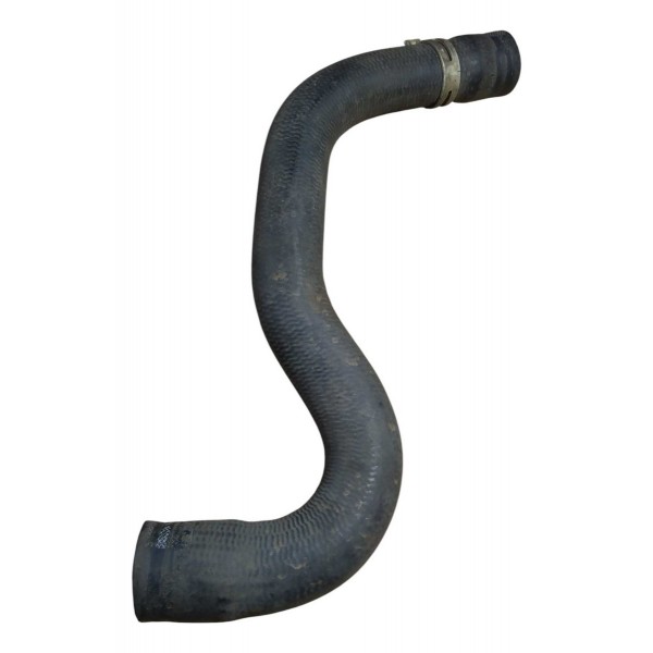Mangueira Radiador Peugeot 206 Presence 1.4 2005 Par