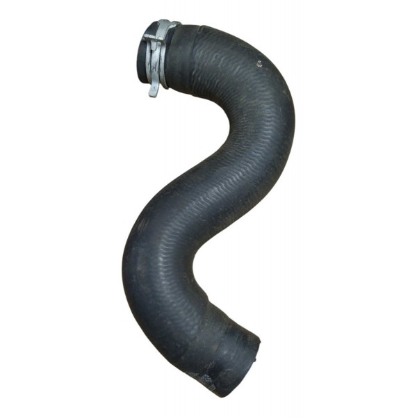 Mangueira Radiador Peugeot 206 Presence 1.4 2005 Par