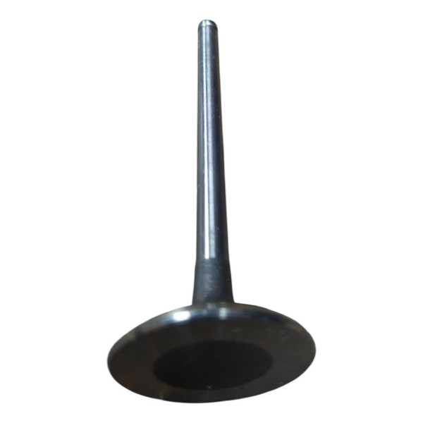 Valvula Admissao Peugeot 206 207 Citroen C3 1.4 8v 0948f0
