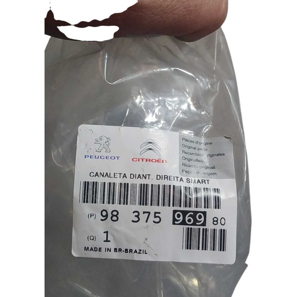 Borracha Interna Porta Dianteira Esquerda Citroen C4 Picasso Preto