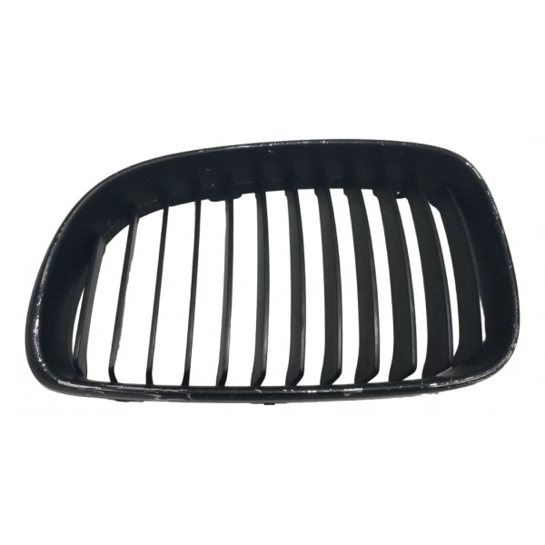 Grade Dianteira Esquerdo Bmw 118i Ue71 2009 Prata Brilhante