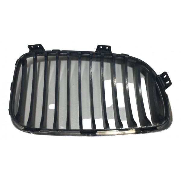 Grade Dianteira Esquerdo Bmw 118i Ue71 2009 Prata Brilhante