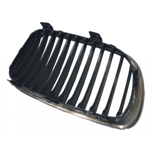 Grade Dianteira Esquerdo Bmw 118i Ue71 2009 Prata Brilhante
